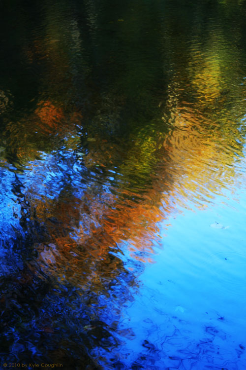 Autumnal Reflections in an Autumn Stream