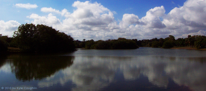 Reflections of a Beautiful Sky